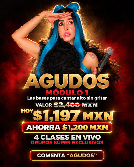TALLER AGUDOS Módulo 1